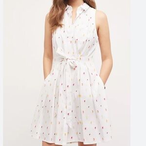 Anthropologie HD PARIS popsicle dress